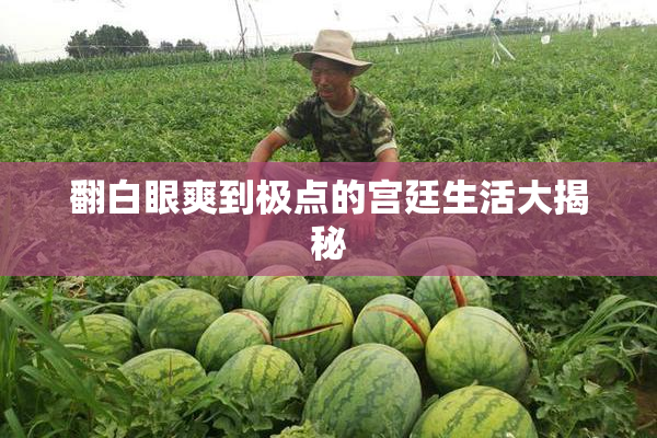翻白眼爽到极点的宫廷生活大揭秘