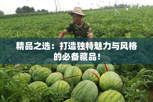 精品之选：打造独特魅力与风格的必备藏品！