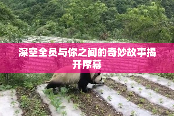深空全员与你之间的奇妙故事揭开序幕