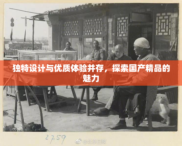 独特设计与优质体验并存，探索国产精品的魅力