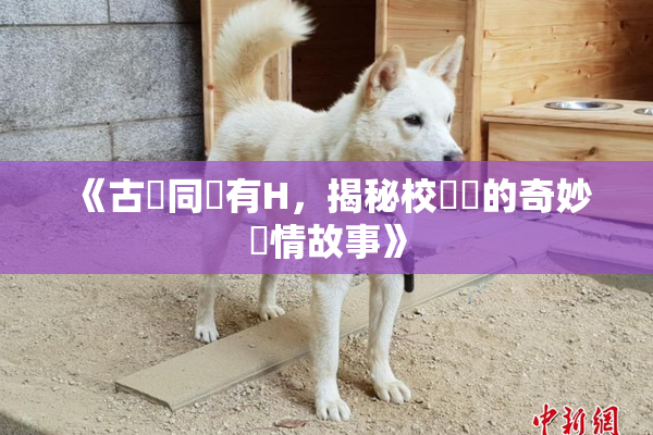 《古見同學有H，揭秘校園裡的奇妙愛情故事》
