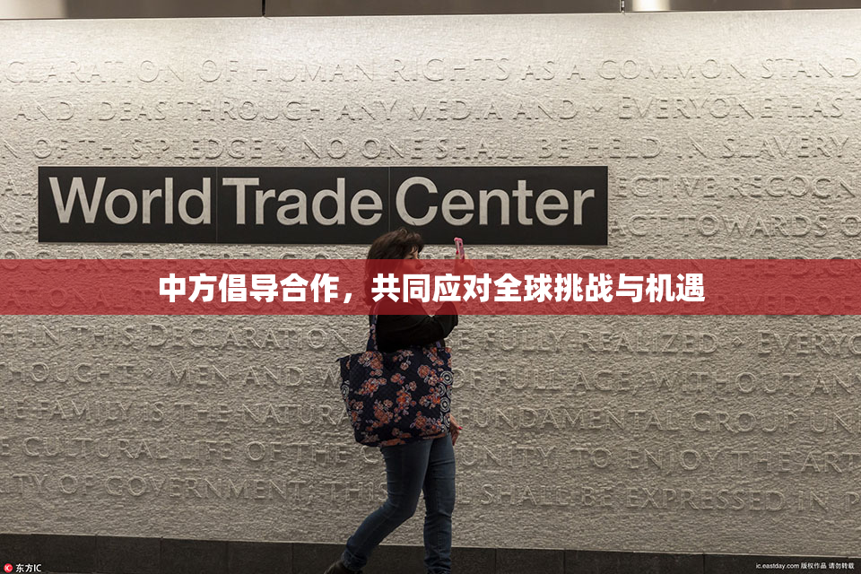 中方倡导合作，共同应对全球挑战与机遇