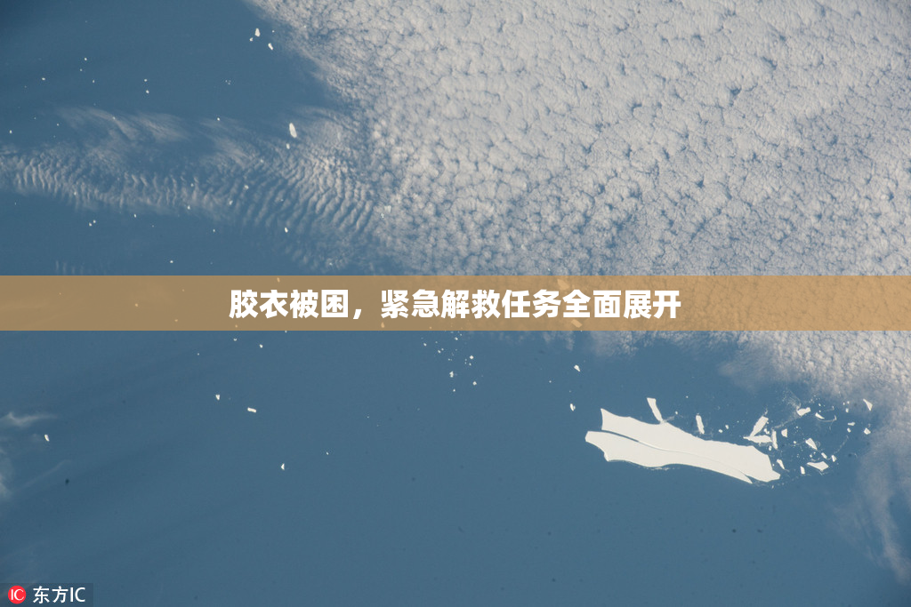 胶衣被困，紧急解救任务全面展开