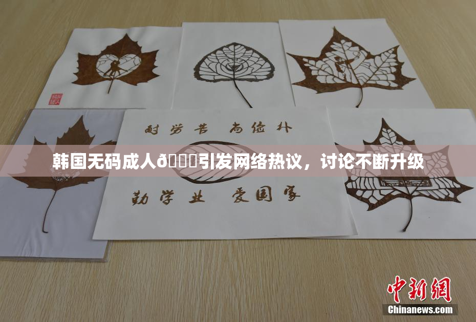 韩国无码成人🔞引发网络热议，讨论不断升级