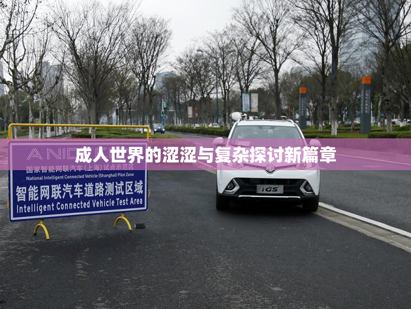成人世界的涩涩与复杂探讨新篇章