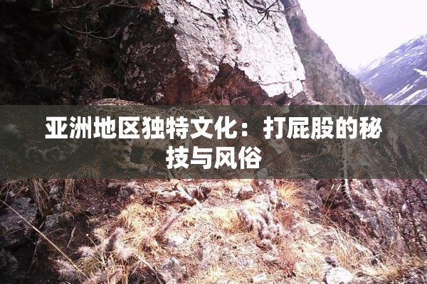 亚洲地区独特文化：打屁股的秘技与风俗