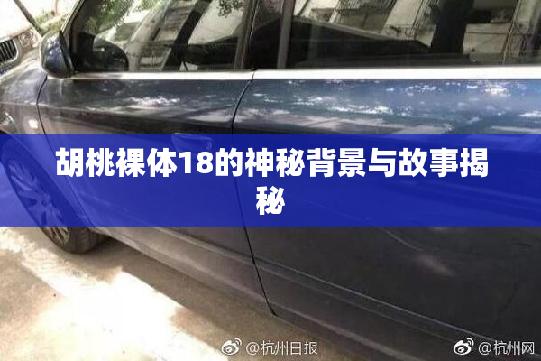 胡桃裸体18的神秘背景与故事揭秘