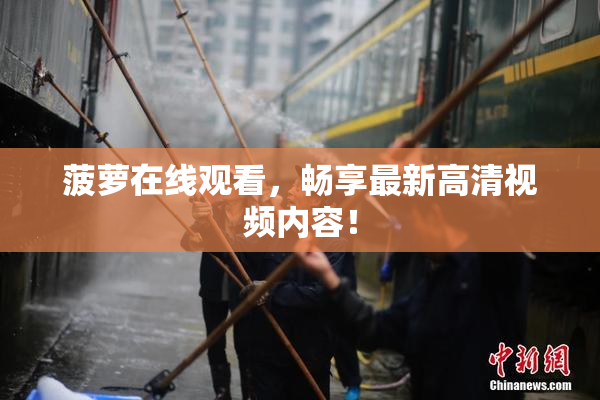 菠萝在线观看，畅享最新高清视频内容！