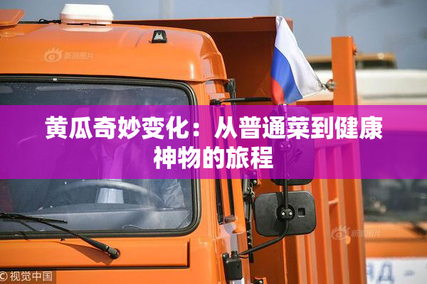 黄瓜奇妙变化：从普通菜到健康神物的旅程