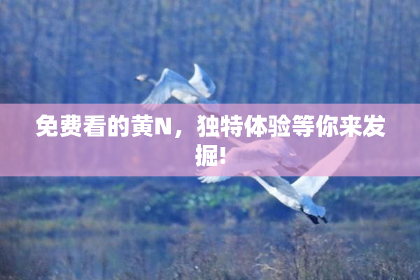 免费看的黄Ν，独特体验等你来发掘!