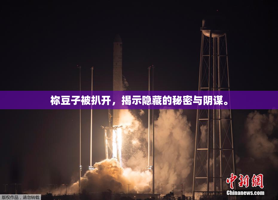 祢豆子被扒开，揭示隐藏的秘密与阴谋。