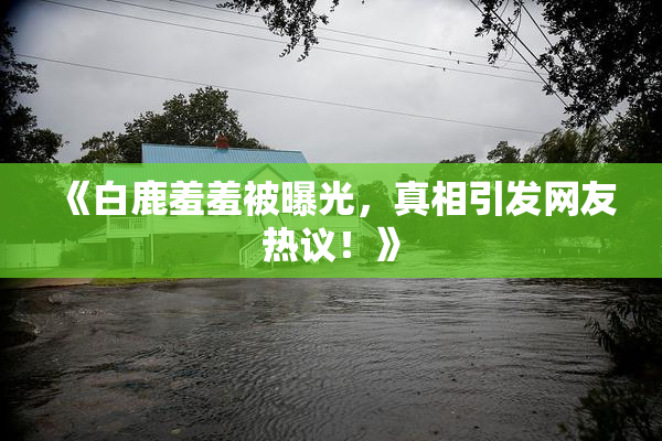 《白鹿羞羞被曝光，真相引发网友热议！》