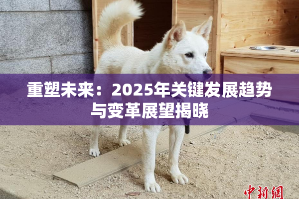 重塑未来：2025年关键发展趋势与变革展望揭晓