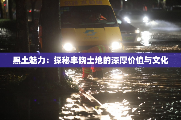 黑土魅力：探秘丰饶土地的深厚价值与文化