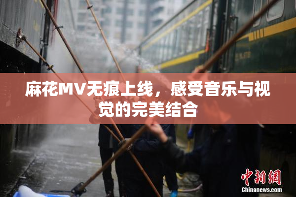 麻花MV无痕上线，感受音乐与视觉的完美结合
