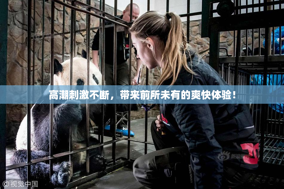高潮刺激不断，带来前所未有的爽快体验！