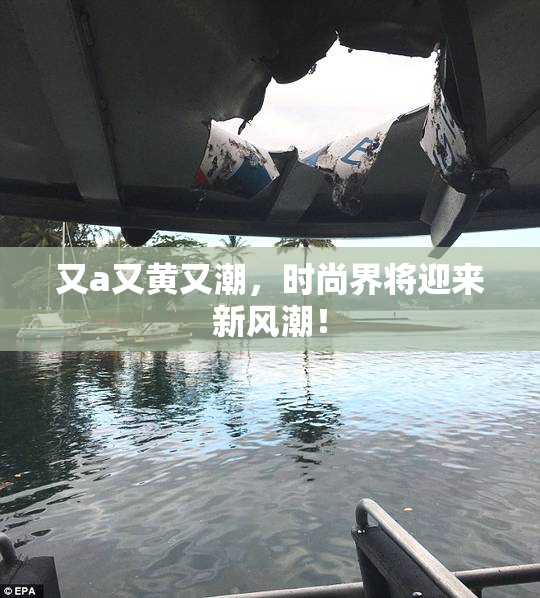 又a又黄又潮，时尚界将迎来新风潮！