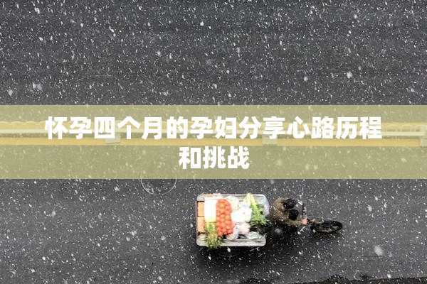 怀孕四个月的孕妇分享心路历程和挑战
