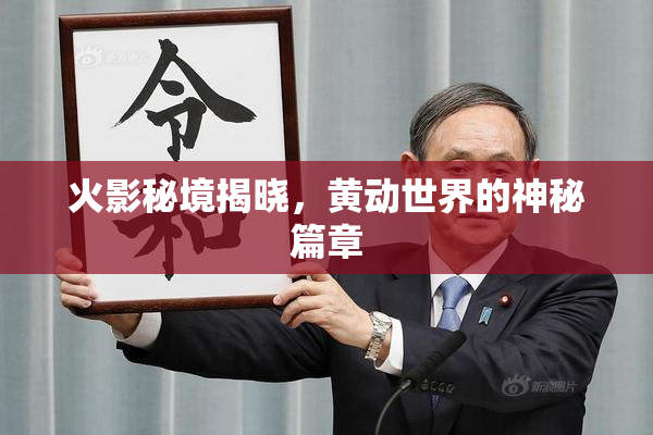 火影秘境揭晓，黄动世界的神秘篇章