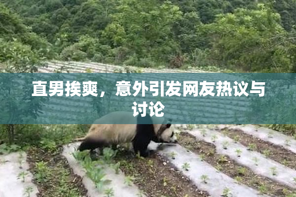 直男挨爽，意外引发网友热议与讨论