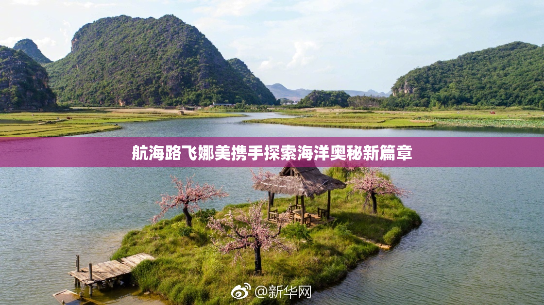 航海路飞娜美携手探索海洋奥秘新篇章