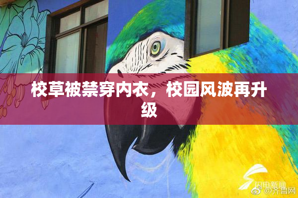 校草被禁穿内衣，校园风波再升级