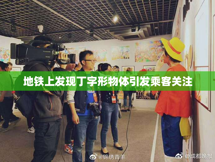 地铁上发现丁字形物体引发乘客关注