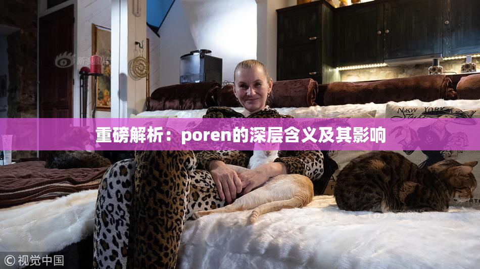重磅解析：poren的深层含义及其影响