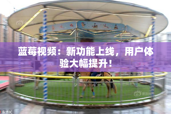蓝莓视频：新功能上线，用户体验大幅提升！