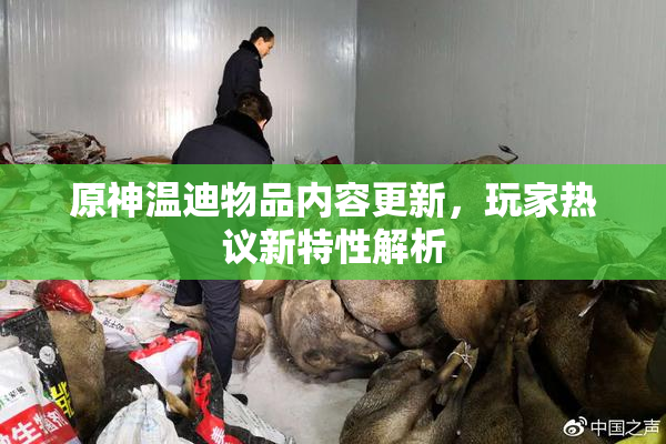 原神温迪物品内容更新，玩家热议新特性解析