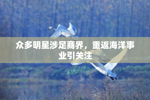 众多明星涉足商界，重返海洋事业引关注