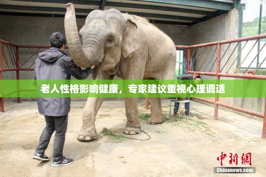 老人性格影响健康，专家建议重视心理调适