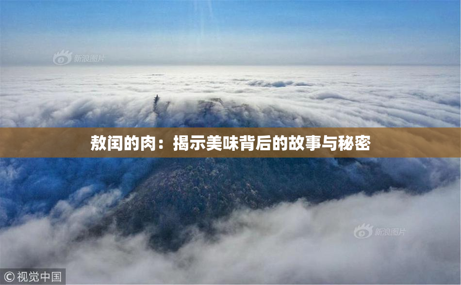 敖闰的肉：揭示美味背后的故事与秘密
