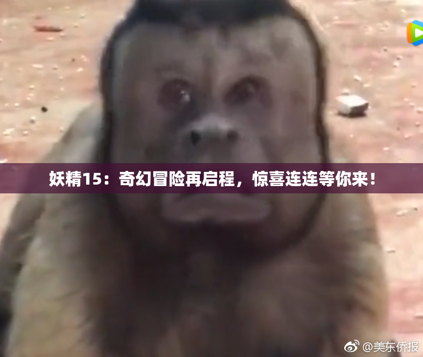 妖精15：奇幻冒险再启程，惊喜连连等你来！