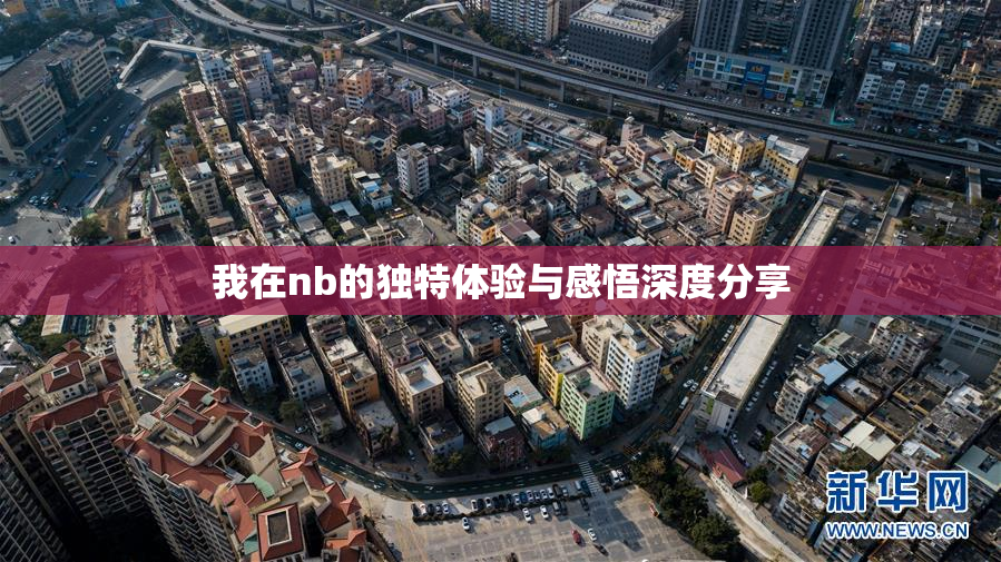 我在nb的独特体验与感悟深度分享