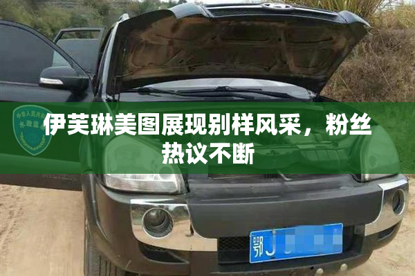 伊芙琳美图展现别样风采，粉丝热议不断