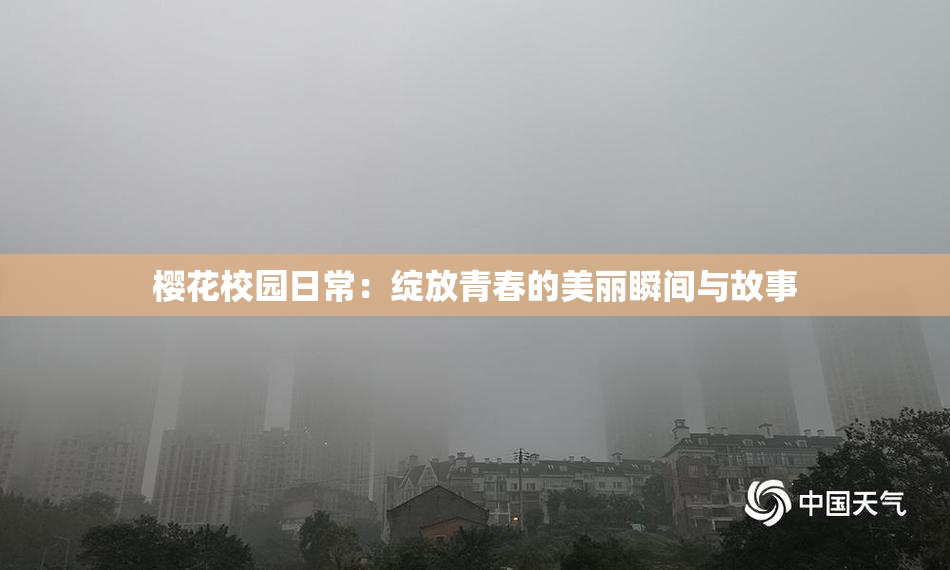 樱花校园日常：绽放青春的美丽瞬间与故事