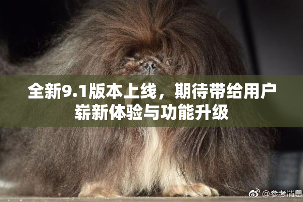 全新9.1版本上线，期待带给用户崭新体验与功能升级