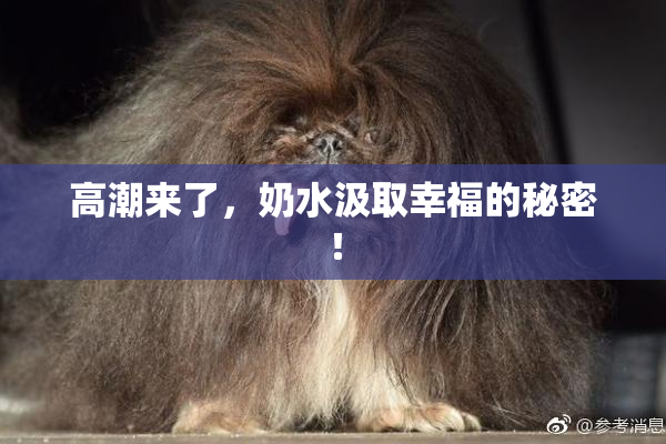 高潮来了，奶水汲取幸福的秘密！