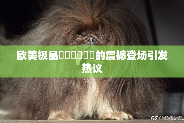 欧美极品❌‌❌‌❌‌的震撼登场引发热议