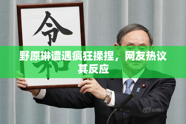 野原琳遭遇疯狂揉捏，网友热议其反应