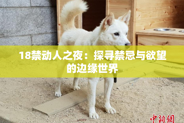 18禁动人之夜：探寻禁忌与欲望的边缘世界