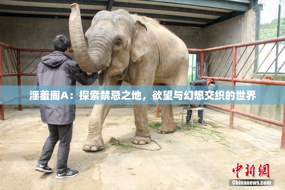 淫羞阁A：探索禁忌之地，欲望与幻想交织的世界