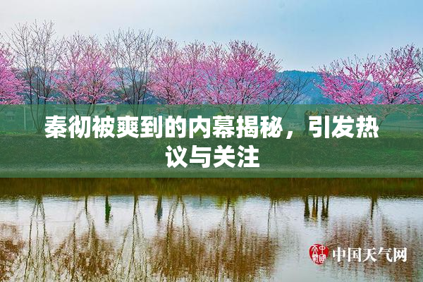 秦彻被爽到的内幕揭秘，引发热议与关注