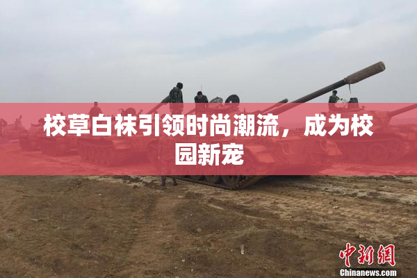 校草白袜引领时尚潮流，成为校园新宠