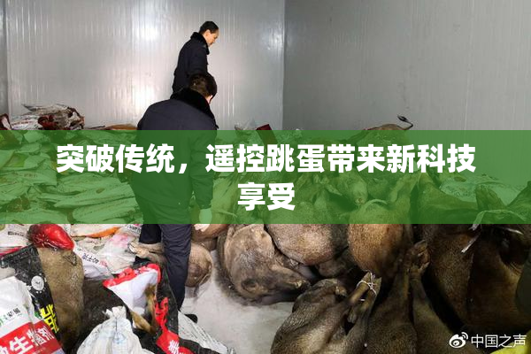 突破传统，遥控跳蛋带来新科技享受