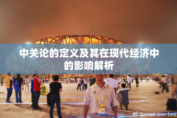 中关论的定义及其在现代经济中的影响解析