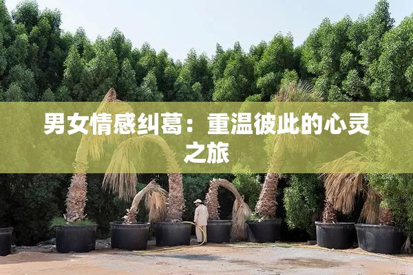 男女情感纠葛：重温彼此的心灵之旅
