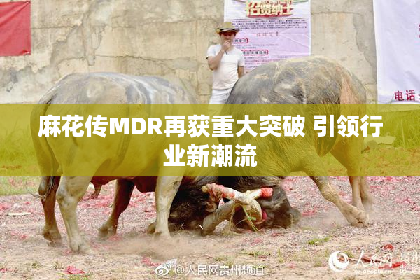 麻花传MDR再获重大突破 引领行业新潮流