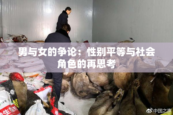 男与女的争论：性别平等与社会角色的再思考